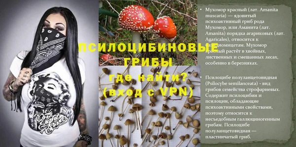 твердый Белоозёрский