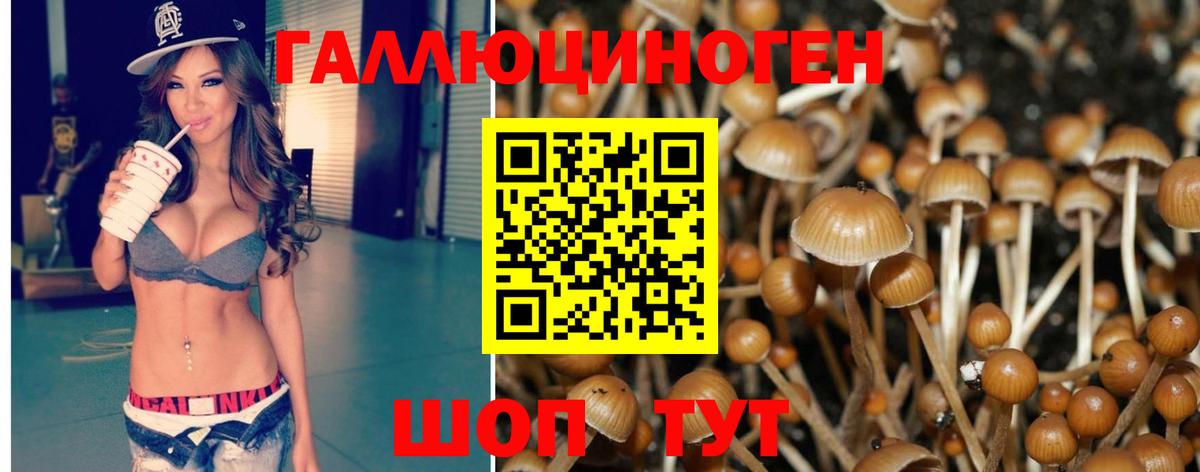 Галлюциногенные грибы Cubensis Бирск