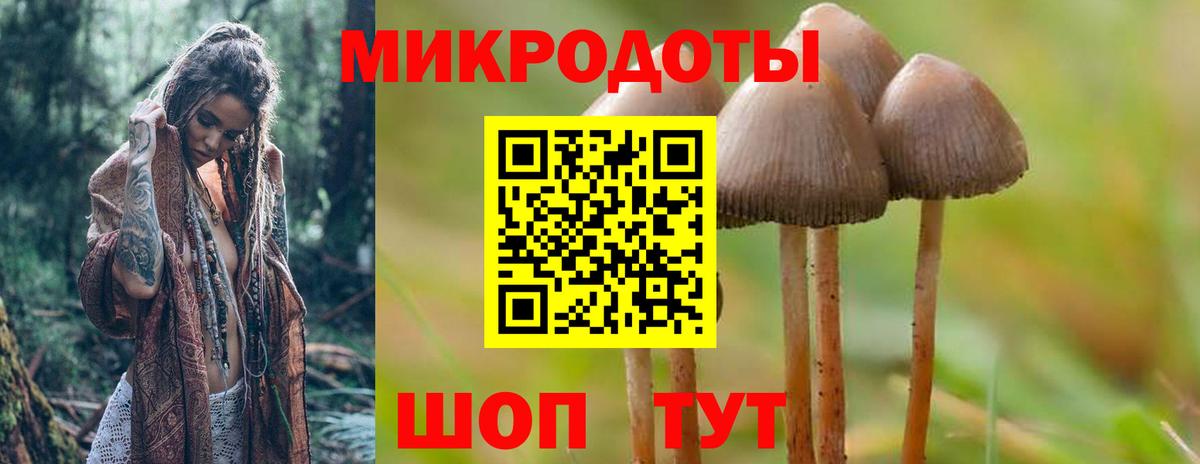 Галлюциногенные грибы MAGIC MUSHROOMS  Псилоцибиновые грибы Magic Shrooms  Вход с VPN  Бирск 